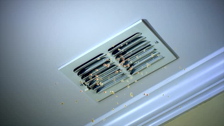 Best Local Air Duct Cleaning Services  in Lincoln, NE