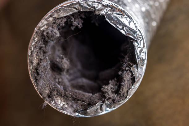 Best Commercial Air Duct Cleaning  in Lincoln, NE